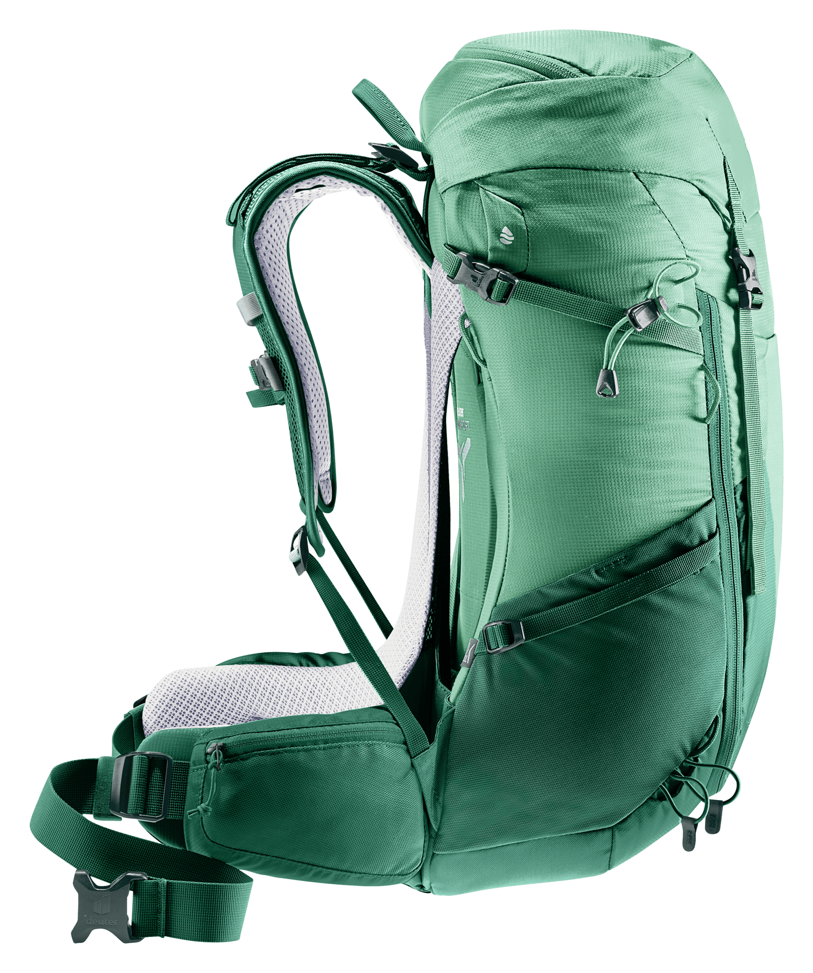 spearmint-seagreen