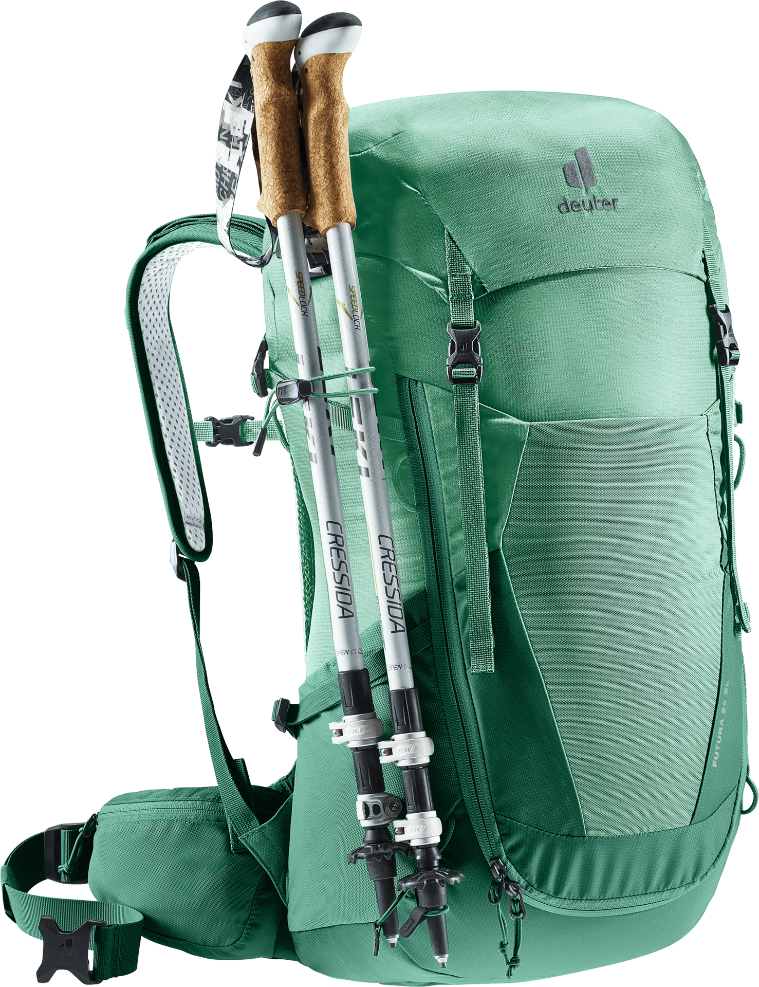 spearmint-seagreen