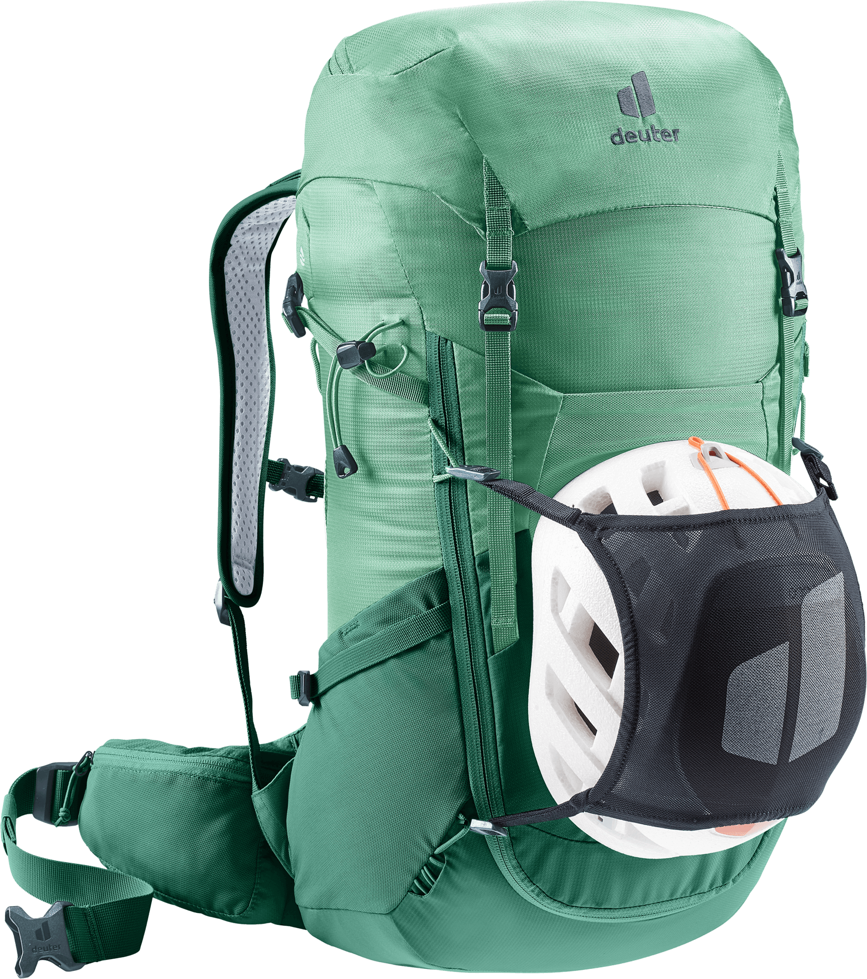 spearmint-seagreen