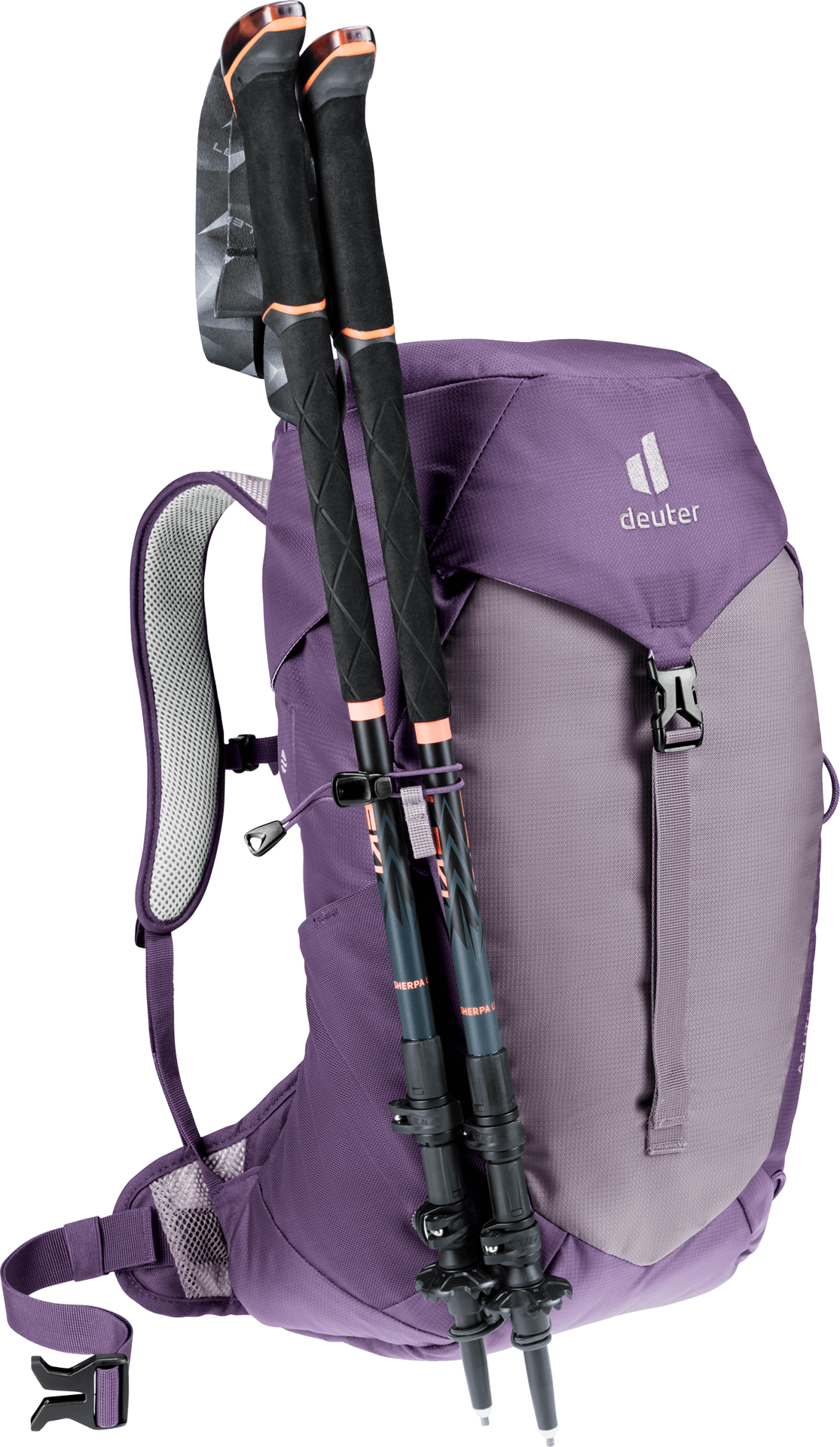 lavender-purple