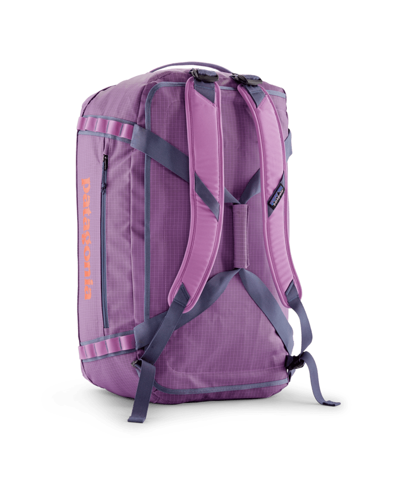 brisk purple