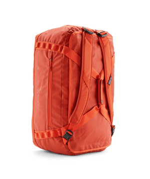 pollinator orange