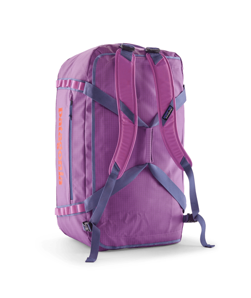 brisk purple